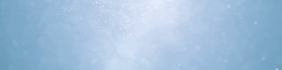 Animación de conexión